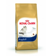 rc-cat-adult-ragdoll-2kg